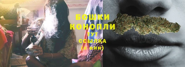 МДПВ Козельск