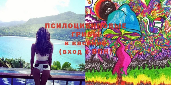 МДПВ Козельск