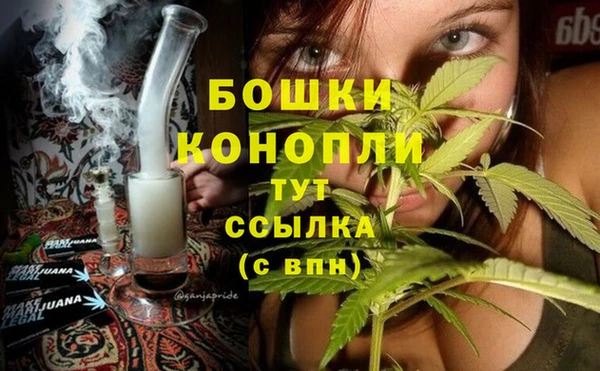 МДПВ Козельск