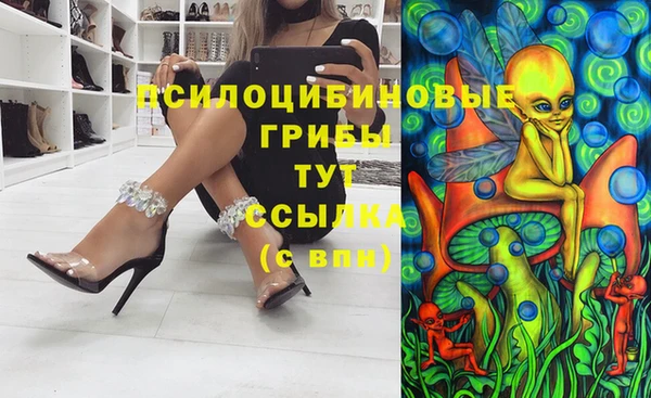 МДПВ Козельск
