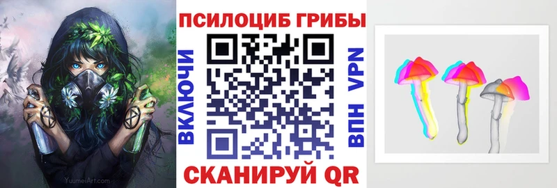 Купить где  Байкальск  Псилоцибиновые грибы Psilocybine cubensis 
